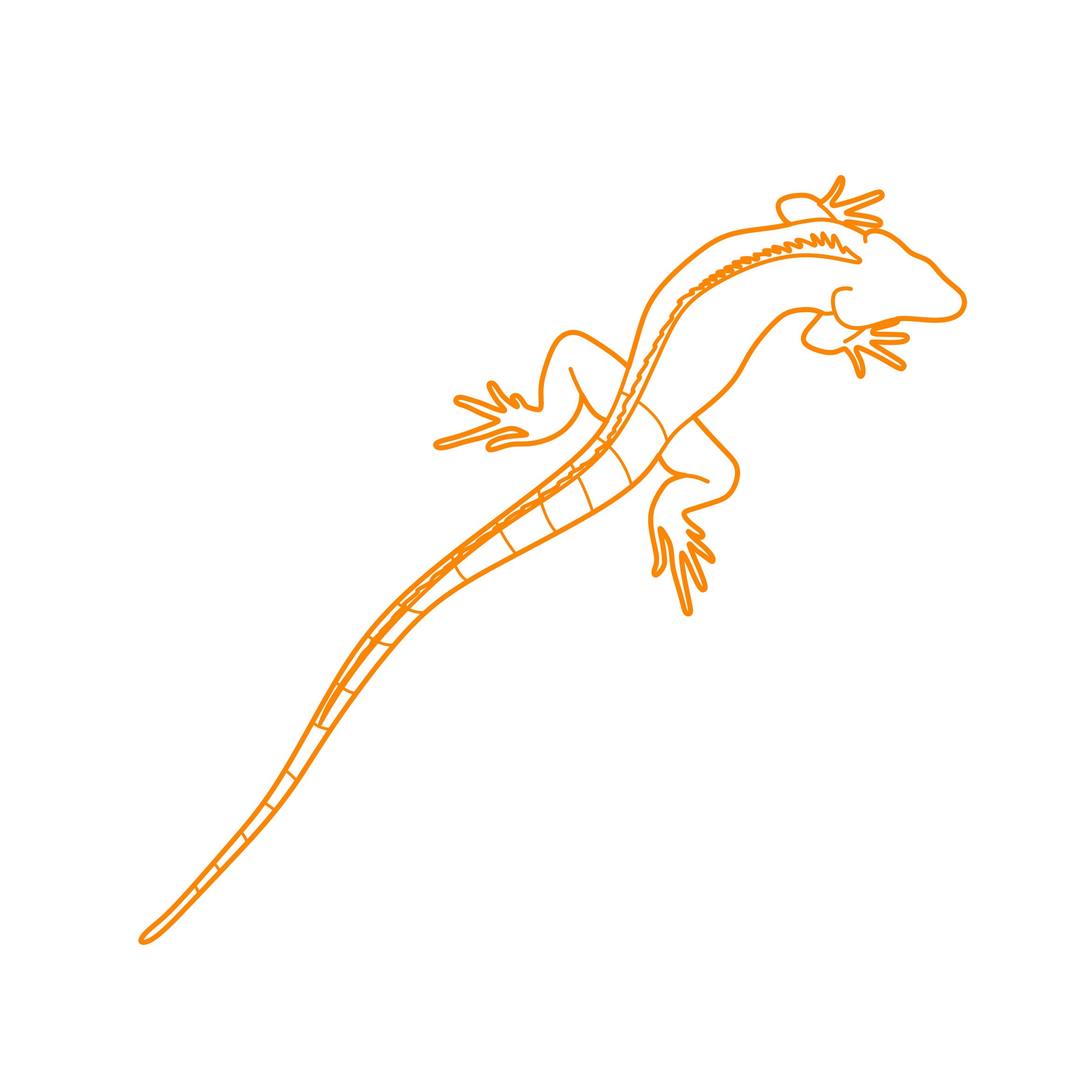 Animals Lizards Green Iguana Simple Line Art Svg Free Vectors